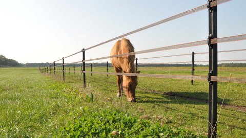 Schrikdraad | Handelsonderneming Baan