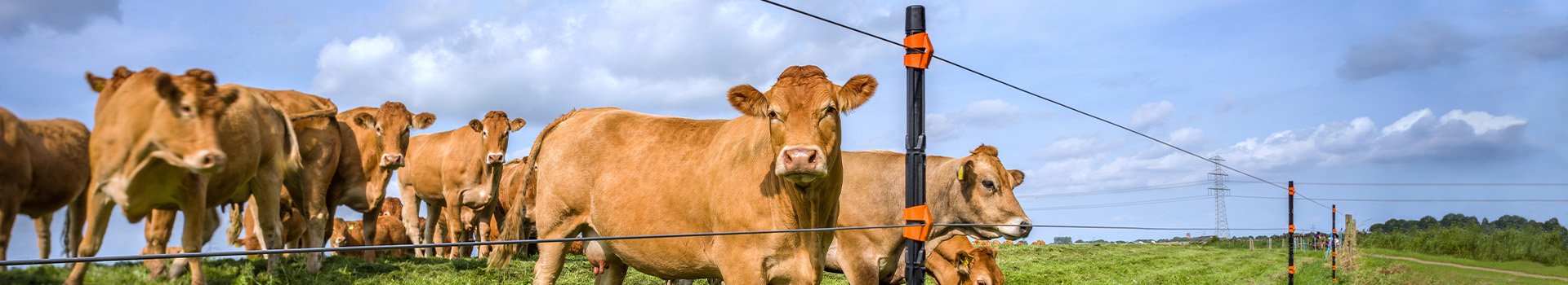 Producten | Handelsonderneming Baan